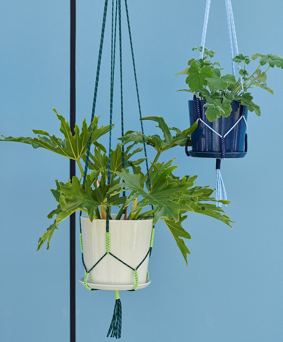 Phanta Plant Hanger