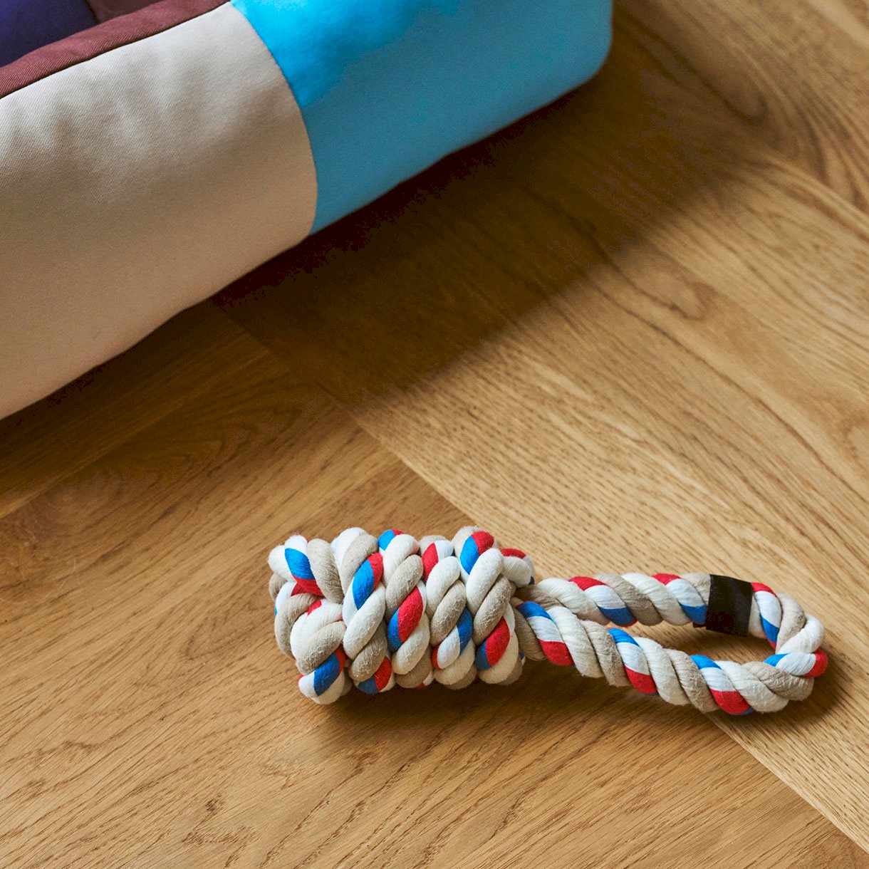 HAY Dogs Rope Toy